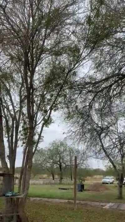 Encounter with a Cardinal