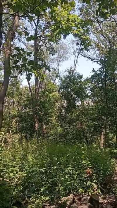 RU pov: Footage of Akhmat Special forces infiltrating a Ukrainian hideout in the Kreminna-Svatove frontlines and killing multiple Ukrainian soldiers. (GRAPHIC)