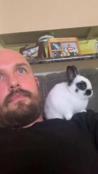 Nymeria watching Tv with me