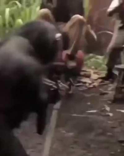 Crudo por el fin tranqui