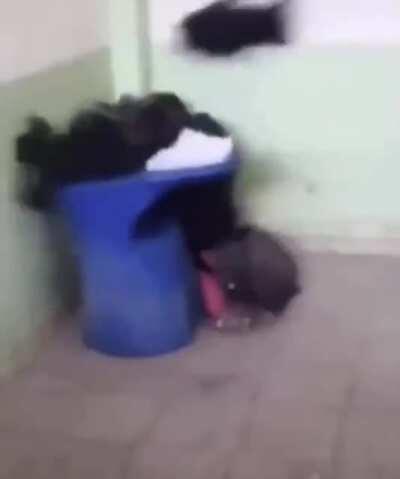 freddit when tyler ahlstrom