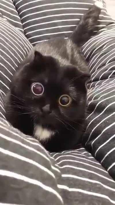 There will be violence!