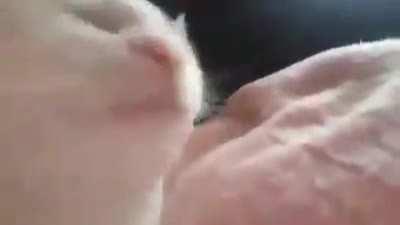 DJ Cesar kkk qm conhece, conhece. Algm fala Comigo na DM tem ngm la mano tá chato o Reddit dai.