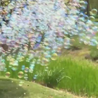 uncountable bubbles from this gun.