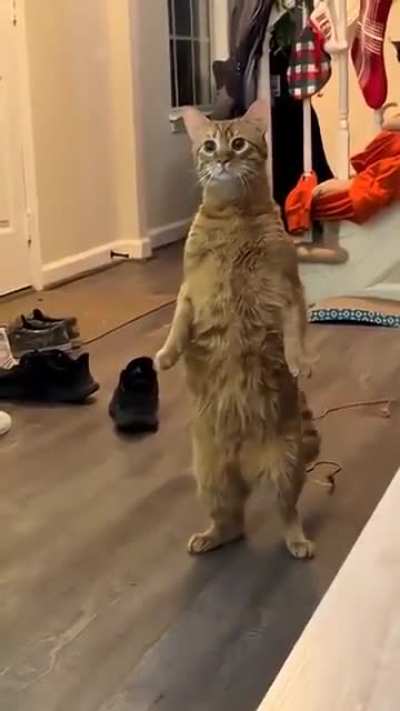 jwbekdioabwjw johnn sssdfg oajwn