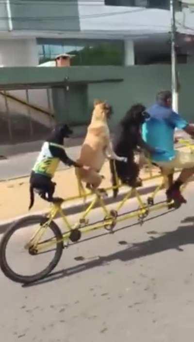 Just chillin going on a bike cruise