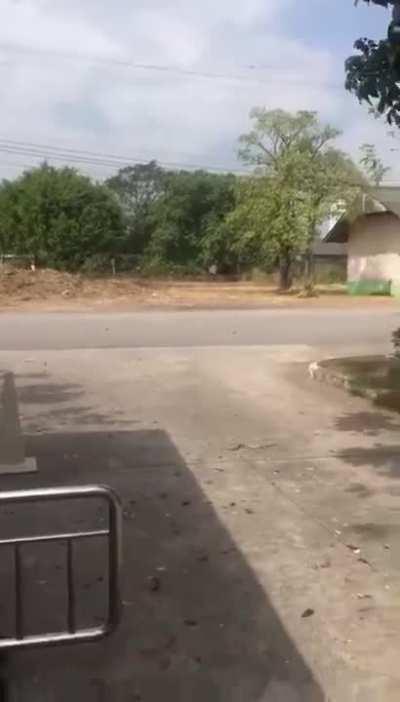 🔥 A jumping snake