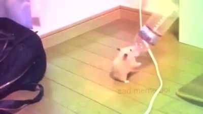 Hunting Horn mains be like~