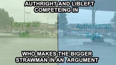 literally this literally that