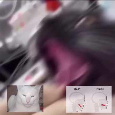 Bro stopped meowing and started Mewing