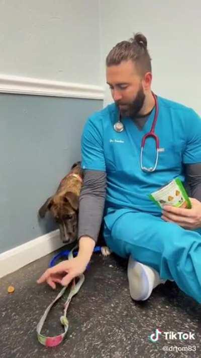 Heartbreaking how scared this poor pup is. The doctor is a perfection at handling him! 🥰