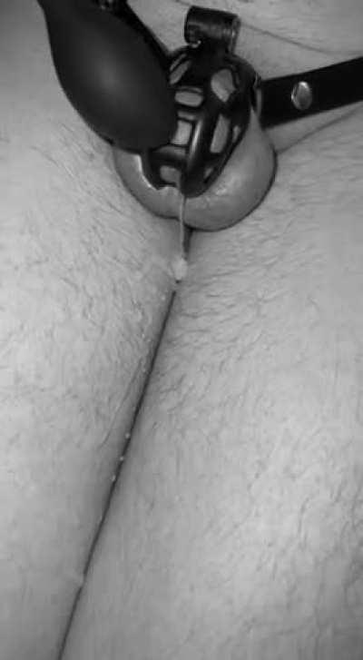 This is the only orgasm he got in the last weeks!😈
