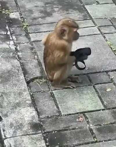 He do be practicing good health tho