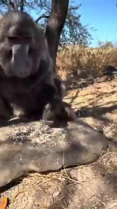 I don't care what you are, you go over there 👉