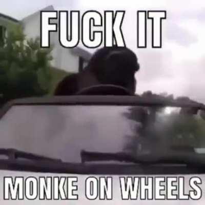 Este es el reddit de monos ¿no?