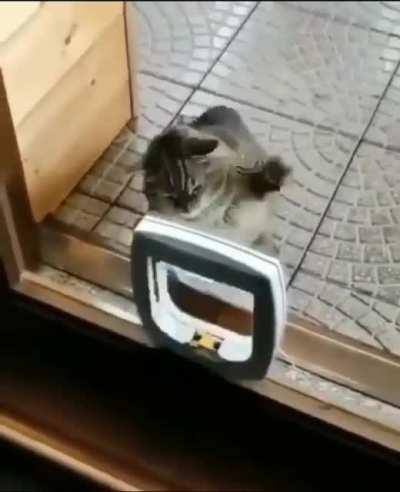 Time for his daily speed bag routine