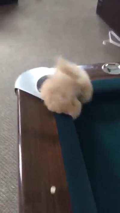 Th-this is my hole! It was made for me!