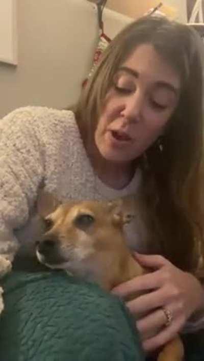 “You are my sunshine, my only sunshine” 🎶 Watch and listen until the end.. 😂 🎥 @casperandpam