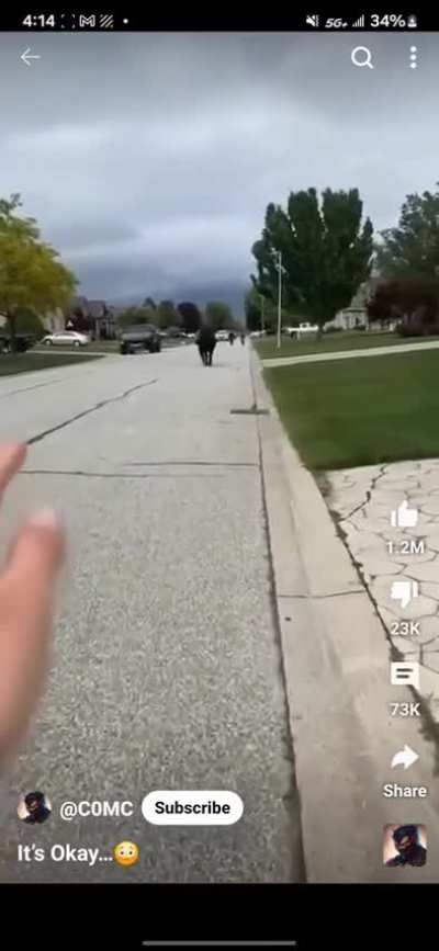 Me: Hey, at least she tried! Yoda: Do or do not. There is no try.