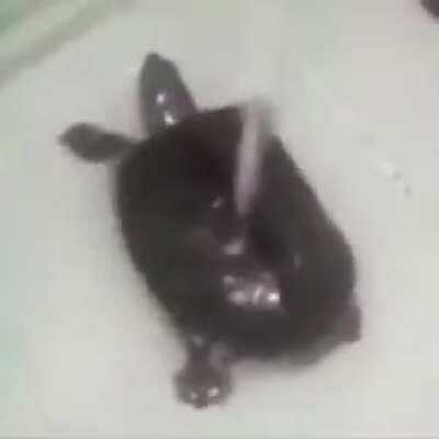 make this the mr president's pose