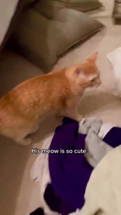 Turn your audio all the way up it’s hard to hear but it’s cute 4/5000