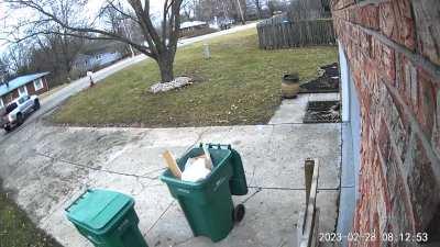 Is the grass really greener on the other side?