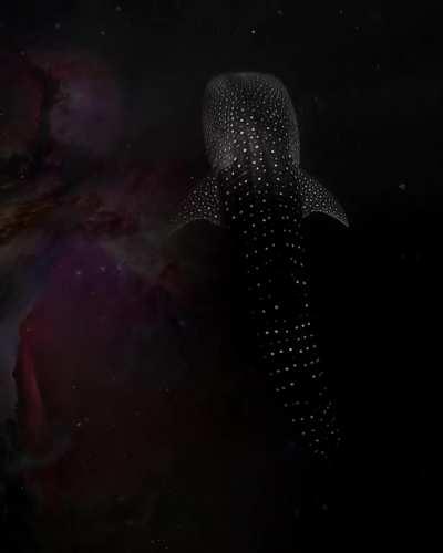 Stars beneath the surface