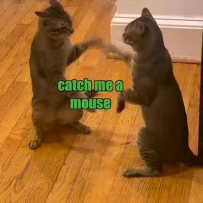 With full lyrics😸