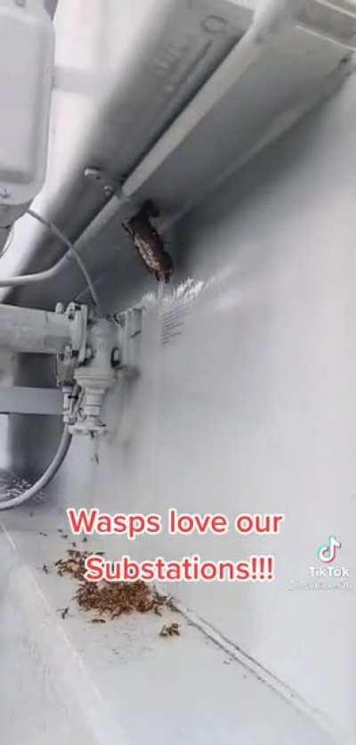 Any idea what spray that is?