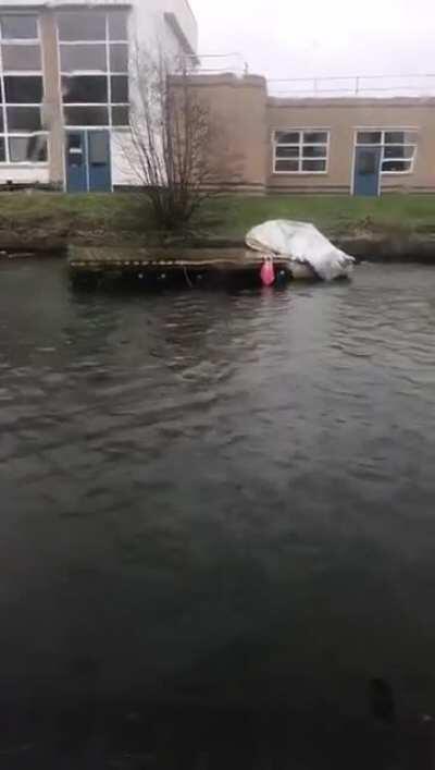 Anyone loose a deck?