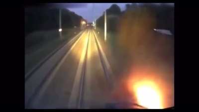 deer explodes after being hit by train!