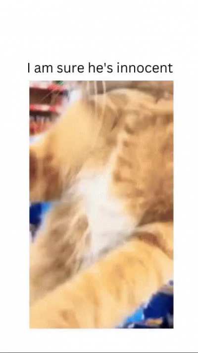 I am sure he's innocent 😂 😂 