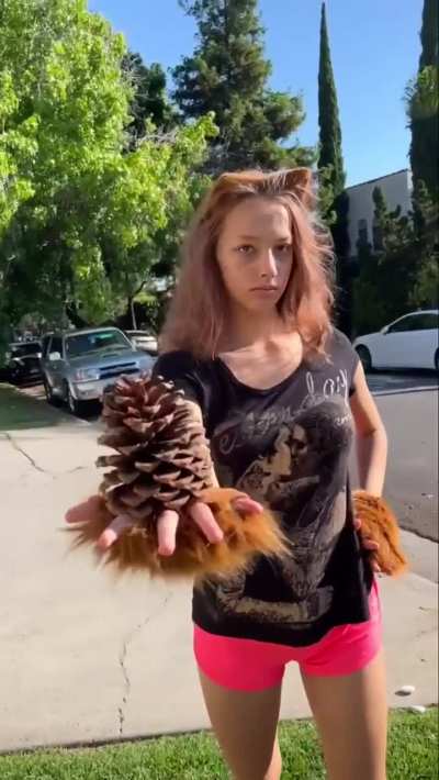 Enjoy the Garden 💐