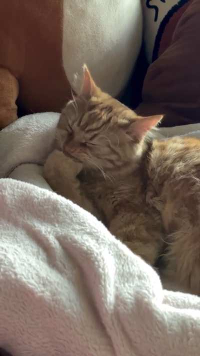 Dorota cleaning her pink beans 🧡🩷