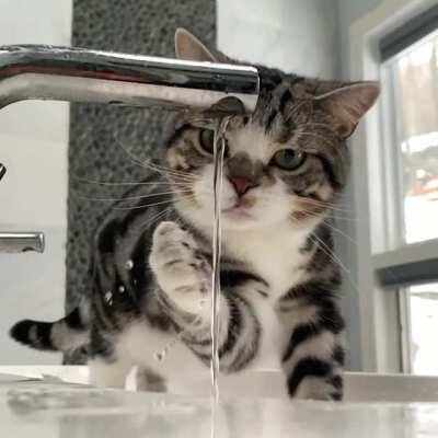 Researching fluid dynamics