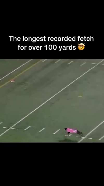 Longest recorded fetch for over 100 yards.