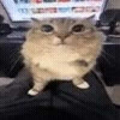 ngl this sub is cooked