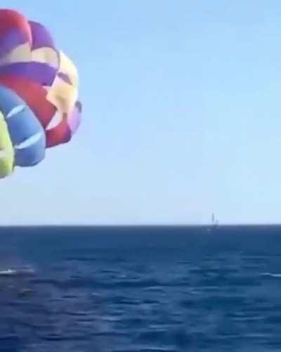 Shark jumps out of water to bite into parasailing man's leg