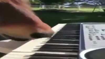 I learned in like 2 days 😒😒🥵🥵