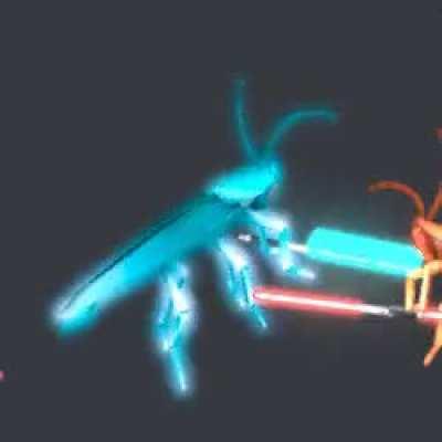 Lightsaber roach
