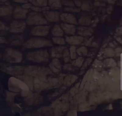 This made me put the controller down for a bit