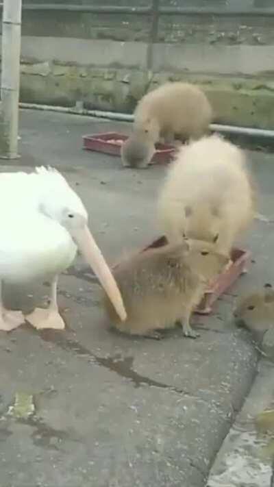 esto pasó en Uruguay!!!