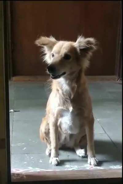 She will always do this bite and sneeze whenever you talk to her.