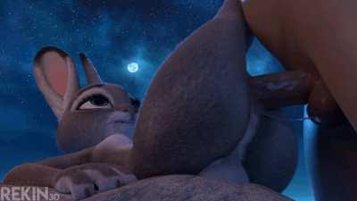 pounding her thiccc ass