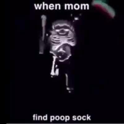 SHE FOUND THE POOP SOCK!!!!!!!!!!