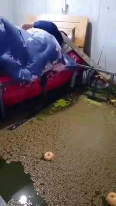 If distracted during sleep, try birthing a melon in the bedroom swamp.