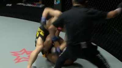 Probably one of the best highlight videos of the year: ONE Championship KOs without Commentary