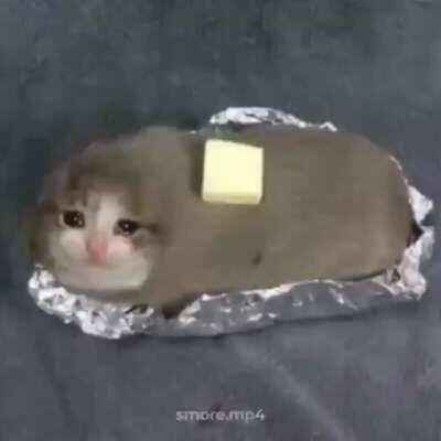 My cursed bois ‎‎‎‎‎‎‎‎‎‍ ‍ ‍ ‍ ‍ ‍ ‍ ‍ ‍ ‍ ‍ ‍ ‍ ‍ ‍ ‍ ‍ ‍ ‍ ‍ ‍ ‍ ‍ ‍ ‍ ‍ ‍ ‍ ‍ ‍ ‍ ‍ ‍ ‍ ‍ ‍ ‍ ‍ ‍ ‍ ‍ ‍ ‍ ‍ ‍ ‍ ‍ ‍ ‍ ‍ ‍ ‍ ‍ ‍ ‍ ‍ ‍ ‍ ‍ ‍ ‍ ‍ ‍ ‍ ‍ ‍ ‍ ‍ ‍ ‍ ‍ ‍ ‍ ‍ ‍ ‍ ‍ ‍ ‍ ‍ ‍ ‍ ‍ ‍ ‍ ‍ ‍ ‍ ‍ ‍ ‍ ‍ ‍ ‍ ‍ ‍ ‍ ‍ ‍ ‍ ‍ ‍ ‍ ‍ ‍ ‍ ‍ ‍ ‍ ‍ ‍ ‍ ‍ ‍ ‍ ‍