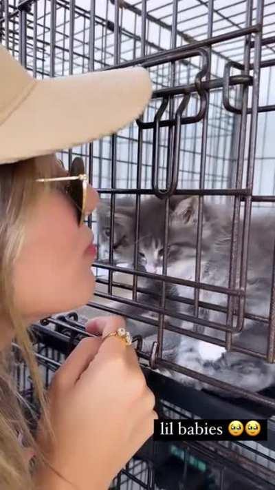 Kiss the kitties 
