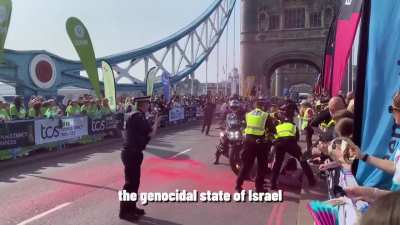 Pro Palestine protesters at the London Marathon
